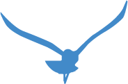 blue Keyport bird logo