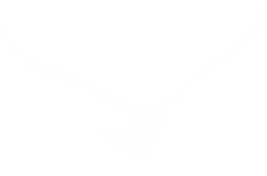 white bird Keyport logo